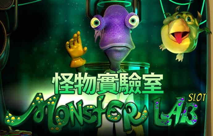 中欧体育kok官网入口
